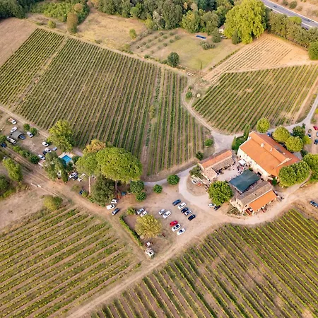 Gite Mimosa Au Milieu Des Vignes Les Arcs-sur-Argens Buitenkant foto