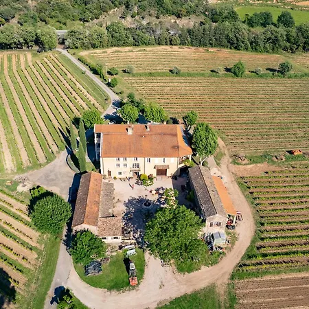 Gite Mimosa Au Milieu Des Vignes - Chateau Les Apies Les Arcs-sur-Argens Exterior photo