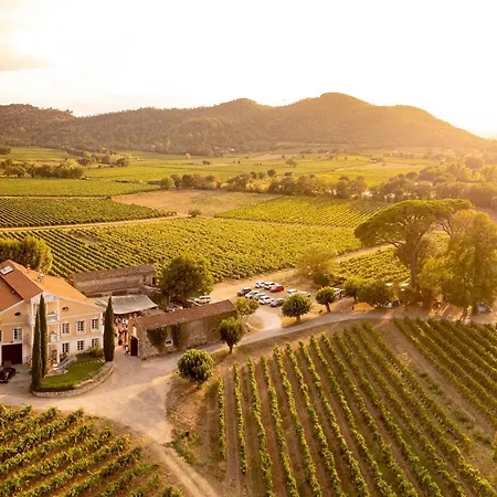Gite Mimosa Au Milieu Des Vignes - Chateau Les Apies Les Arcs-sur-Argens Exterior photo