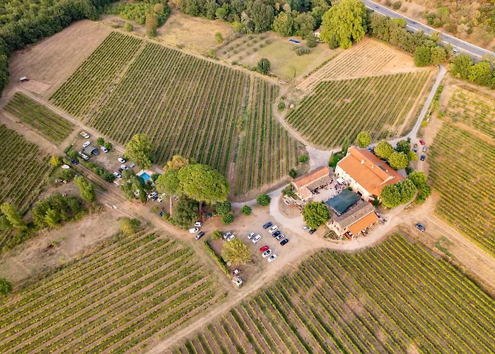 Gite Mimosa Au Milieu Des Vignes