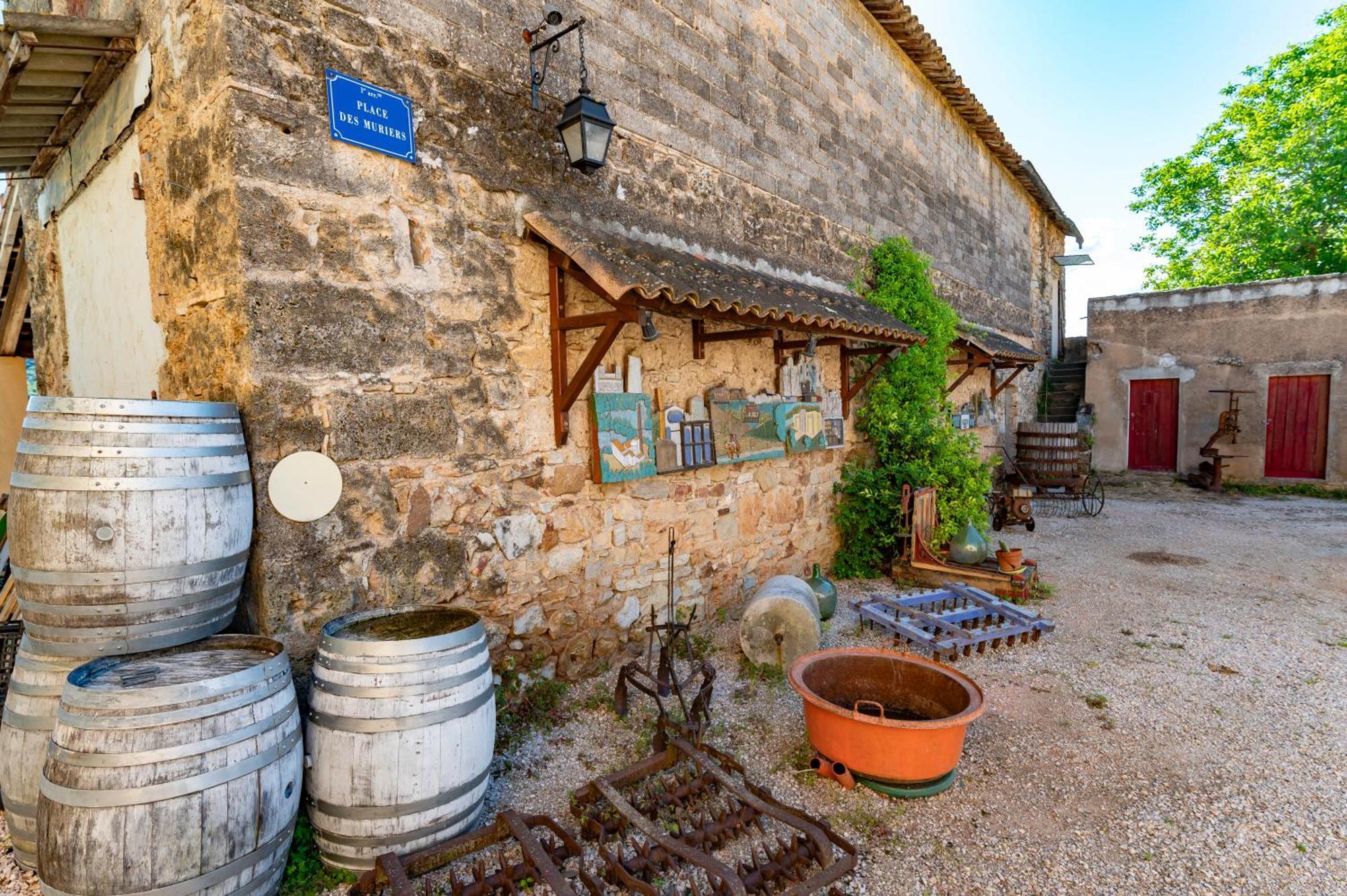 Mimosa Au Milieu Des Vignes - Chateau Les Apies