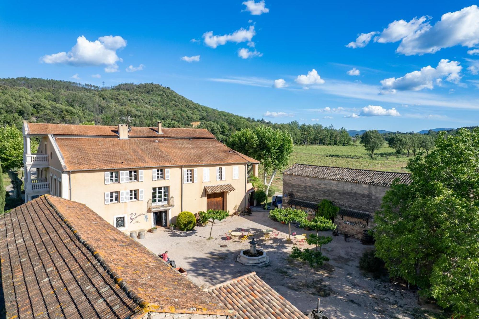Mimosa Au Milieu Des Vignes - Chateau Les Apies * Les Arcs-sur-Argens
