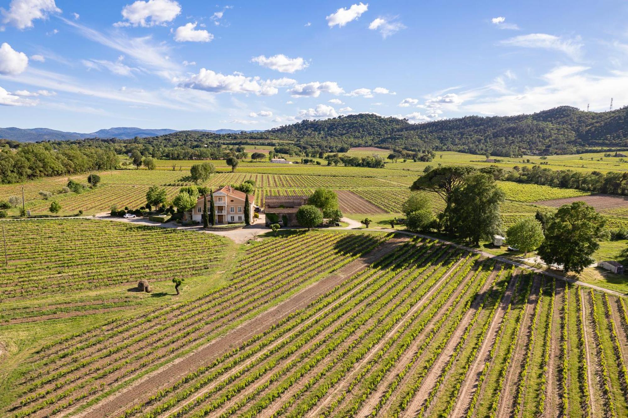 Mimosa Au Milieu Des Vignes - Chateau Les Apies * Les Arcs-sur-Argens