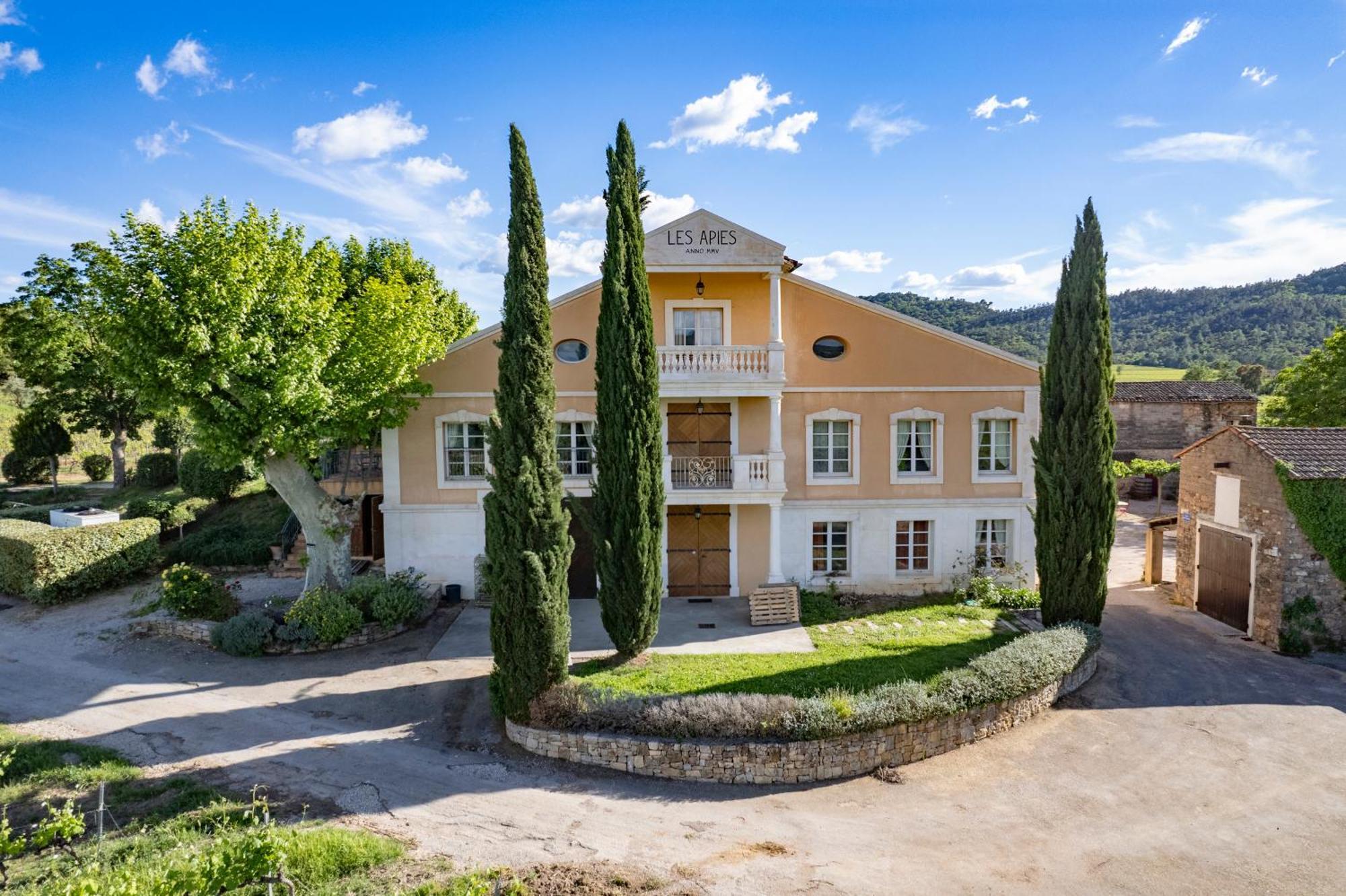 Mimosa Au Milieu Des Vignes - Chateau Les Apies * Les Arcs-sur-Argens