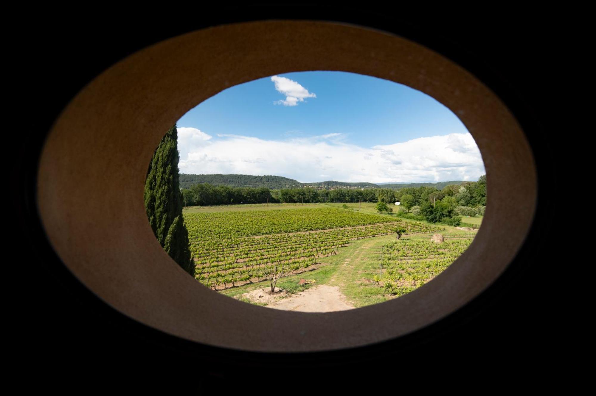 Apartment Mimosa Au Milieu Des Vignes - Chateau Les Apies *